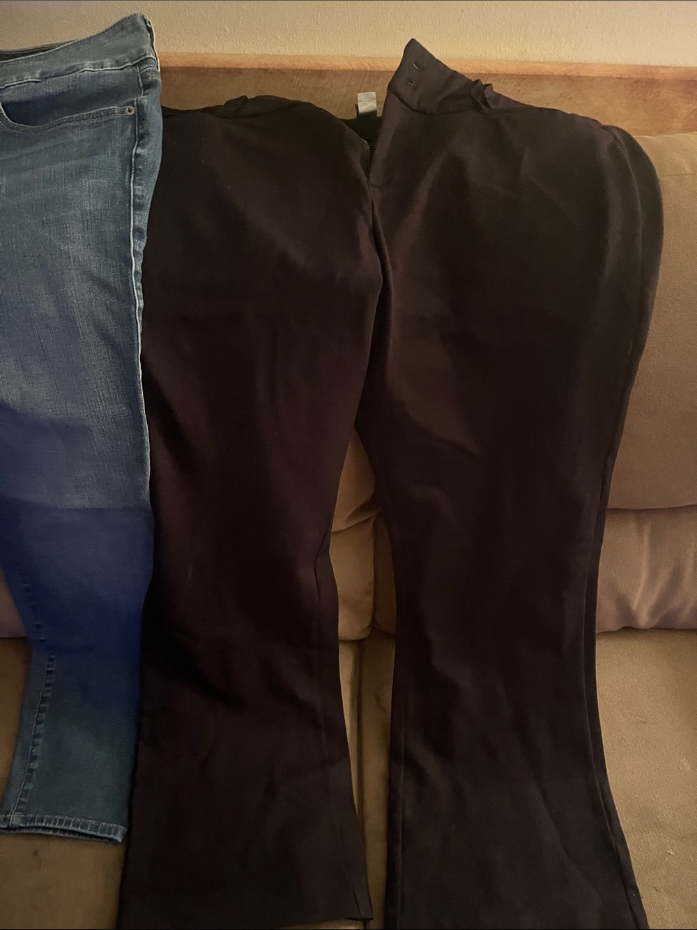torrid Black Bootcut Pants with Subtle Flare